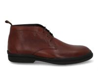 Van Bommel Magma 02.04 cognac Cognac maat 41.5
