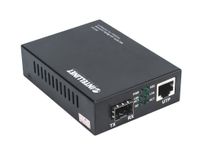 Intellinet 508193 netwerk media converter 10000 Mbit/s Zwart - thumbnail