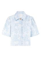 Tramontana Jack C10-19-801