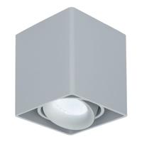 Vierkante LED Opbouwspot Esto - Kantelbaar - Dimbaar - 6500K daglicht wit - 4 Watt 345 Lumen- GU10 - Plafondspot - Voor binnen - Vervangbare afdekring - Grijs
