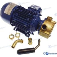 Bombas achique agua GS20220 - BOMBA ELECTRICA 12V 25L/MIN
