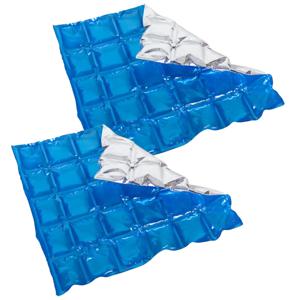 Herbruikbare flexibele koelelementen - 2x - icepack/ijsklontjes - 28 x 25 cm - blauw