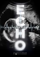 Echo - Nico De Braeckeleer - ebook