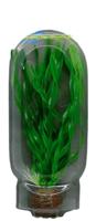 Superfish easy plant middel 20 cm nr. 1 - Superfish