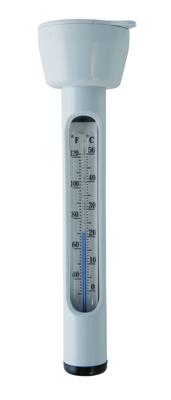 Zwembad Thermometer - Intex