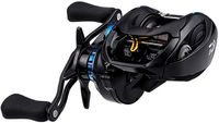 Daiwa Zillion SV TW 10.0L