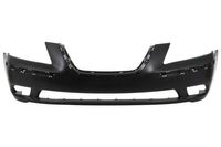 Bumper 5510003169901P