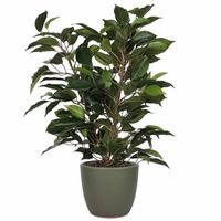 Groene ficus kunstplant 40 cm met plantenpot dennengroen D13.5 en H12.5 cm - thumbnail