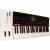 Nektar Panorama P4 49 USB Midi controller