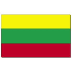 Vlag Litouwen - 90 x 150 cm - feestartikelen - Litouwen landen thema - supporter/fan