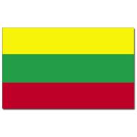 Vlag Litouwen - 90 x 150 cm - feestartikelen - Litouwen landen thema - supporter/fan