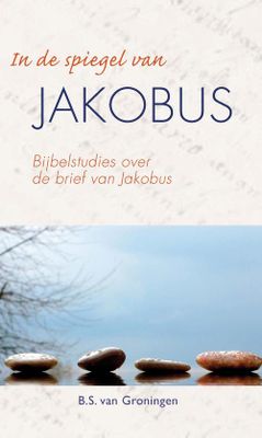 In de spiegel van Jakobus - B.S. van Groningen - ebook
