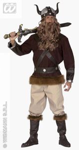 Viking Noorman kostuum Amundi