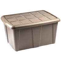Plasticforte Opslagbox met deksel - Beige - 60L - kunststof - 63 x 46 x 32 cm - Opbergbox