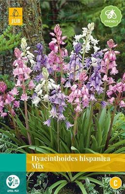 Hyacinthoides hisp. mix 8 bollen - Jub