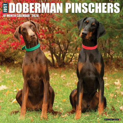 Dobermann Kalender 2026