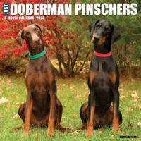 Dobermann Kalender 2026