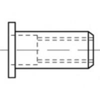 TOOLCRAFT TO-5380614 Popnagel M6 RVS 250 stuk(s)