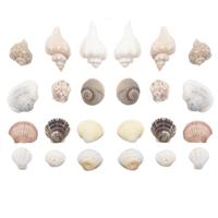 DID Schelpen mix - 3x - decoratie - 450 gram - schelpjes