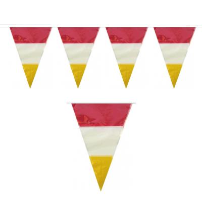 Den Bosch kleuren carnaval vlaggetjes - 10 meter - plastic - rood-wit-geel - versieringen