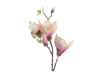 magnolia zijde steel