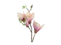 magnolia zijde steel