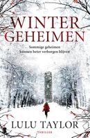 Wintergeheimen - Lulu Taylor - ebook