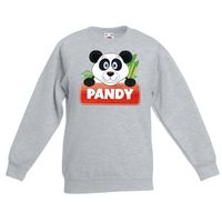 Panda dieren sweater grijs voor kinderen - thumbnail