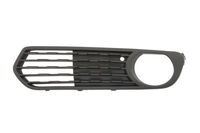 Ventilatiegrille, bumper 6502070086917P