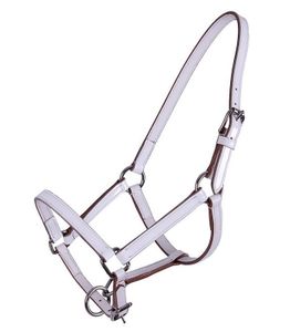 QHP Halster veulen Leer Ilanura