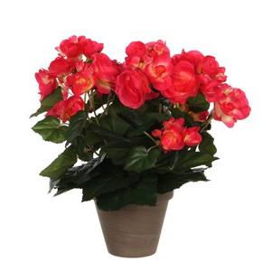 Mica Decorations Begonia Kunstplant - H30 x Ø25 cm - Donkerroze