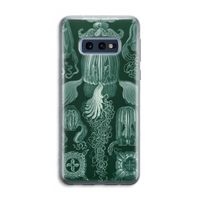 Haeckel Cubomedusae: Samsung Galaxy S10e Transparant Hoesje