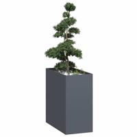 Plantenbak 40x80x80 cm staal antracietkleurig