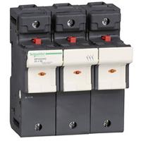 Schneider Electric DF223VC Zekeringhouder 2 stuk(s)
