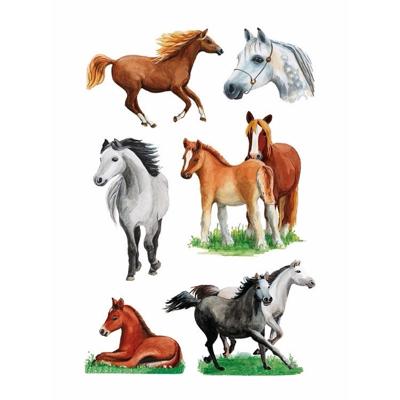 Paarden stickers - 3x vellen - 16x9 cm - dieren stickervel