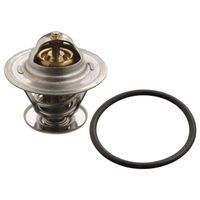 Thermostaat 17976