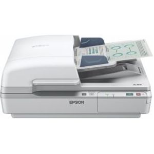 Epson WorkForce DS-6500 1200 x 1200 DPI Flatbed-/ADF-scanner Wit A4
