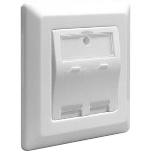 DeLOCK Keystone Wall Outlet 2 Port doos