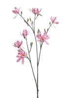 Magnolia spray x3 pink 103 cm - Emerald Magnolia spray x3 pink 103 cm - Emerald