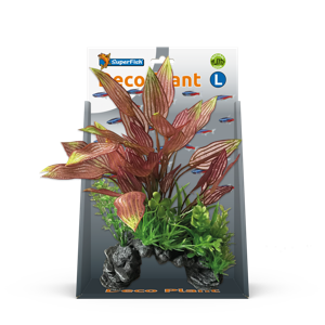 Superfish Deco Plant L Henkelianus - Onderhoudsvrije Kunstplant voor Aquaria en Vijvers