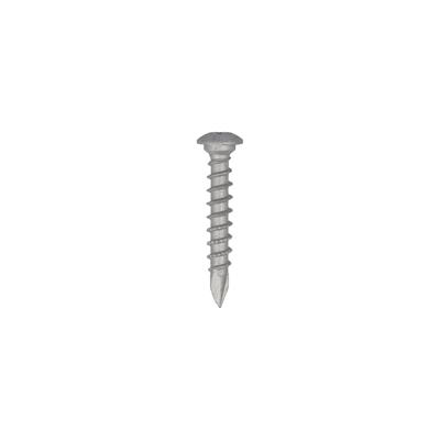 Dynaplus Paalhouderschroef Ar-Silver Ovk Torx TX40 10.0X50 | 50 stuks - 0288.08.69901