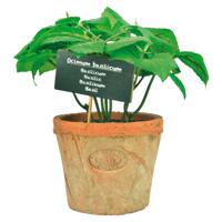Kunstplant/kruiden basilicum - in oude terracotta pot - 18 cm - kruiden   -