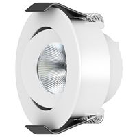 LED Camicro Downlight kantelbaar 4W 45º 2.700K/3.000K/DTW IP44 dimbaar Wit
