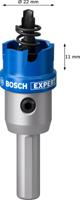 Bosch Accessoires EXPERT Sheet Metal | Gatzaag | 22 mm - 2608901405