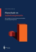 Planschade en nadeelcompensatie (Paperback)