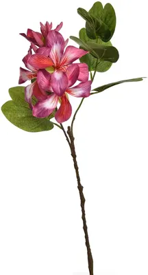Pure Royal kunsttak bauhinia 60cm beauty