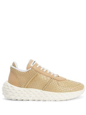 Giuseppe Zanotti baskets Urchin - Tons neutres
