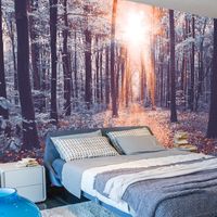 Zelfklevend fotobehang -  Randje van Zonlicht in een bos  , Premium Print - thumbnail