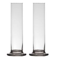 2x stuks luxe stijlvolle 1 bloem vaas/vazen 30 x 6 cm transparant glas - Vazen