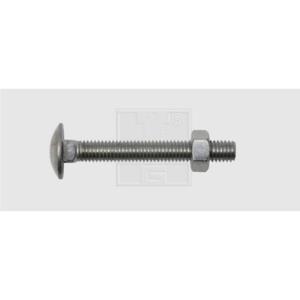 SWG 22666067 Platbolkopschroef 6 mm 60 mm Buitenzeskant DIN 603 RVS A2 30 stuk(s)